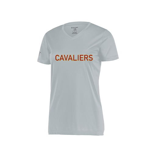 [222820.099.S-LOGO2] Ladies Movement Dri Fit Shirt (Female Adult S, Silver, Logo 2)